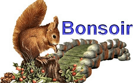 bonsoir à tous
